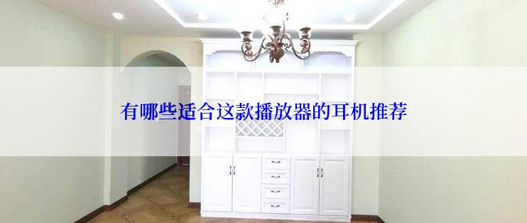 有哪些适合这款播放器的耳机推荐