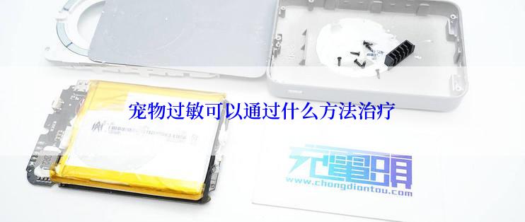 宠物过敏可以通过什么方法治疗