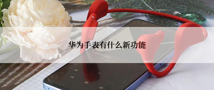 华为手表有什么新功能