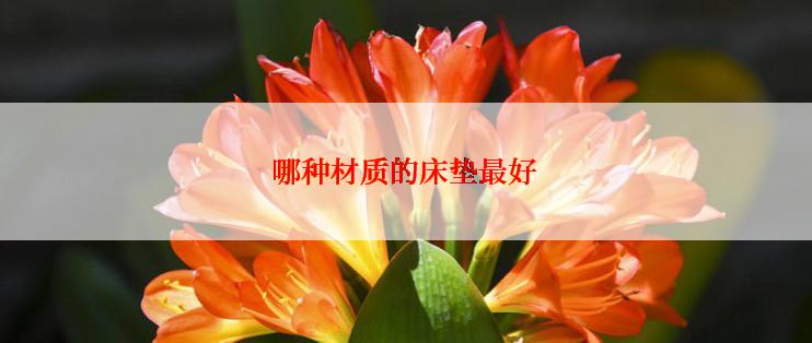 哪种材质的床垫最好