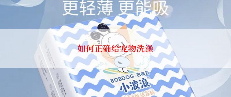 如何正确给宠物洗澡