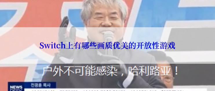 Switch上有哪些画质优美的开放性游戏