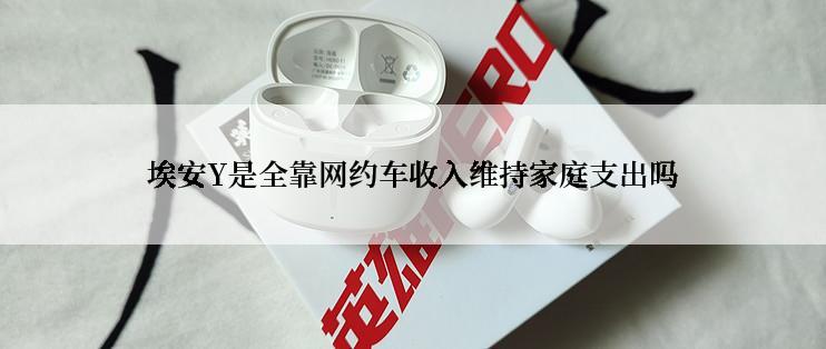 埃安Y是全靠网约车收入维持家庭支出吗