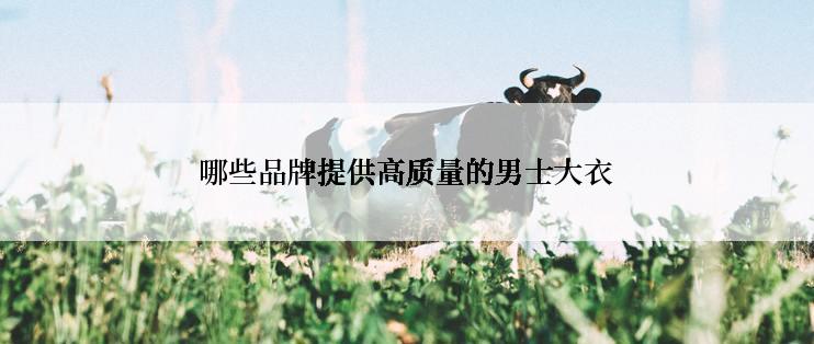 哪些品牌提供高质量的男士大衣