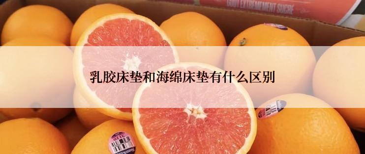 乳胶床垫和海绵床垫有什么区别
