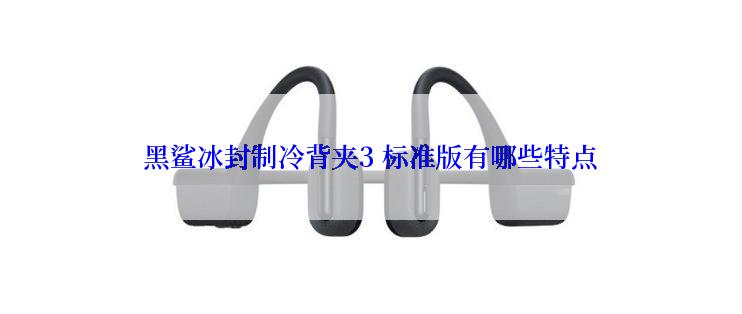 黑鲨冰封制冷背夹3 标准版有哪些特点