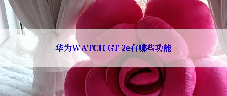 华为WATCH GT 2e有哪些功能