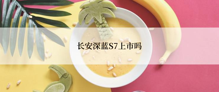 长安深蓝S7上市吗