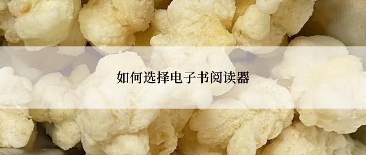 如何选择电子书阅读器