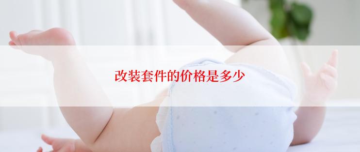改装套件的价格是多少