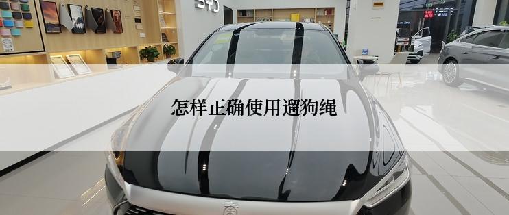 怎样正确使用遛狗绳