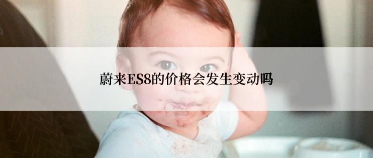 蔚来ES8的价格会发生变动吗