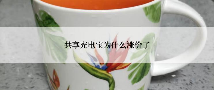 共享充电宝为什么涨价了