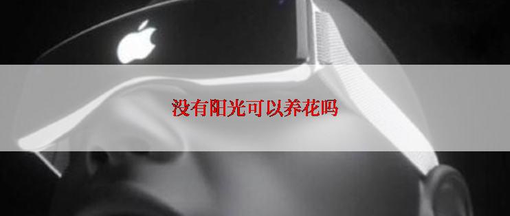 没有阳光可以养花吗