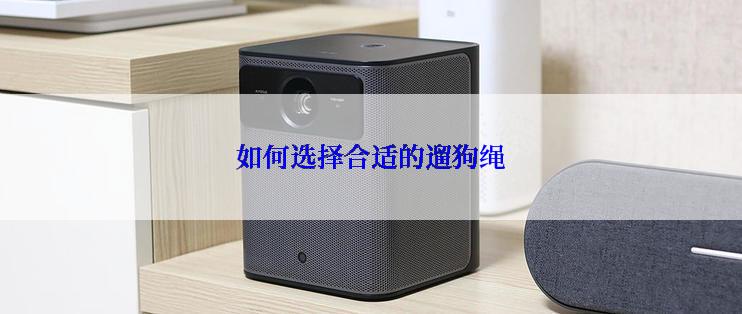 如何选择合适的遛狗绳
