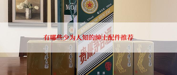 有哪些少为人知的绅士配件推荐