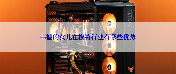 韦德的女儿在模特行业有哪些优势