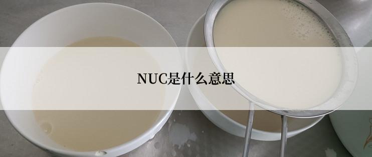 NUC是什么意思