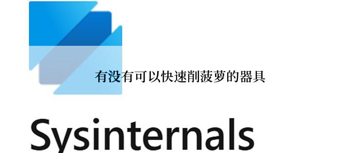 有没有可以快速削菠萝的器具