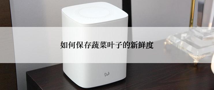 如何保存蔬菜叶子的新鲜度