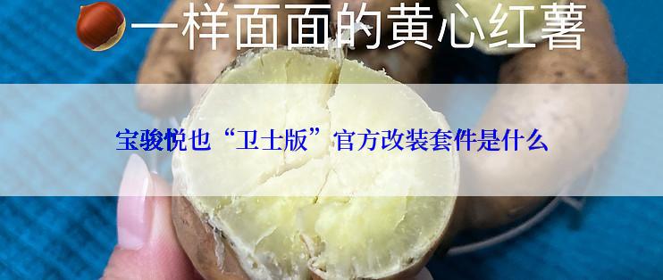 宝骏悦也“卫士版”官方改装套件是什么