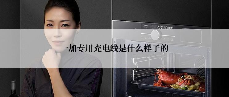 一加专用充电线是什么样子的