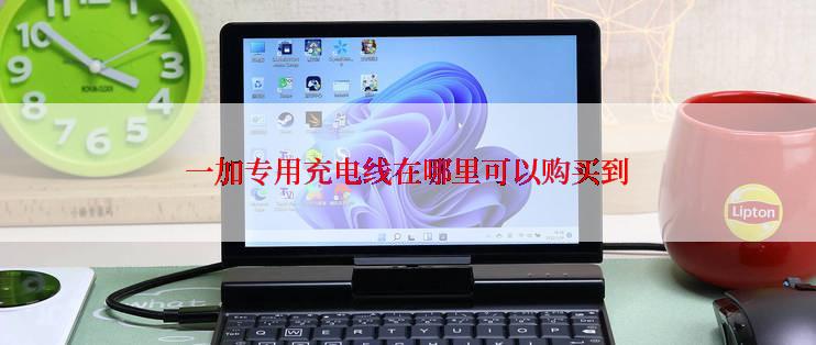 一加专用充电线在哪里可以购买到