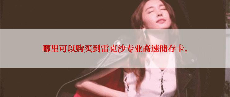 哪里可以购买到雷克沙专业高速储存卡。