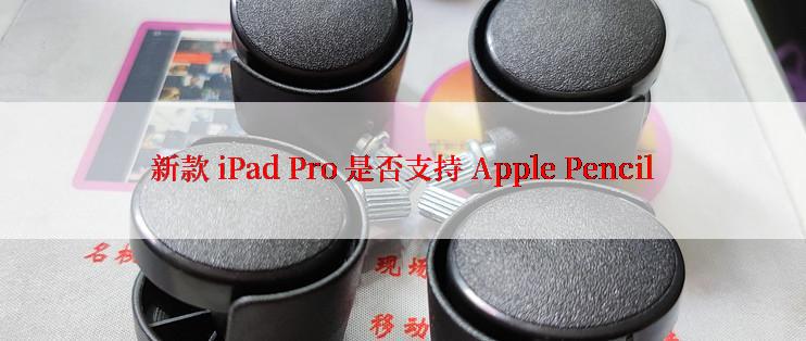新款 iPad Pro 是否支持 Apple Pencil