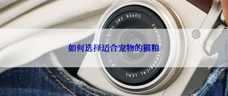 如何选择适合宠物的猫粮