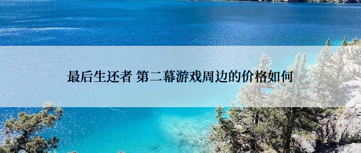 最后生还者 第二幕游戏周边的价格如何