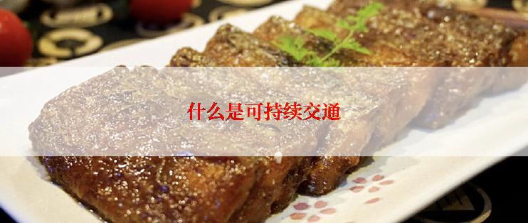 什么是可持续交通
