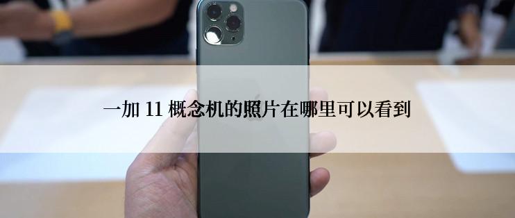 一加 11 概念机的照片在哪里可以看到