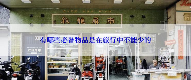 有哪些必备物品是在旅行中不能少的