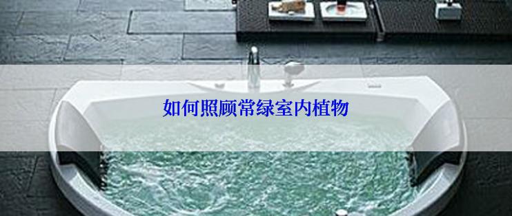如何照顾常绿室内植物