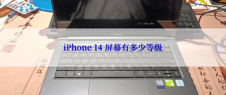 iPhone 14 屏幕有多少等级