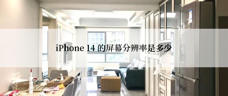 iPhone 14 的屏幕分辨率是多少