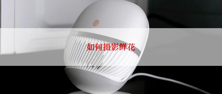 如何摄影鲜花