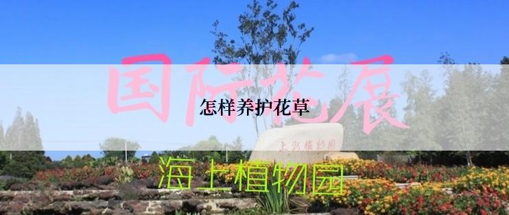 怎样养护花草