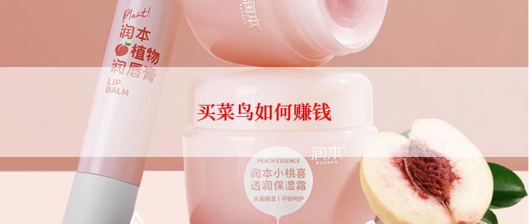 买菜鸟如何赚钱