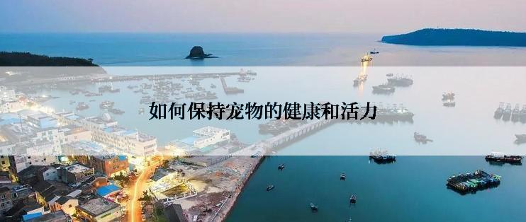 如何保持宠物的健康和活力