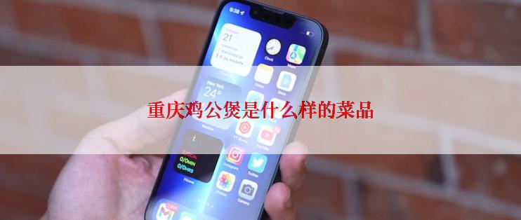 重庆鸡公煲是什么样的菜品