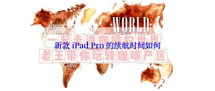 新款 iPad Pro 的续航时间如何