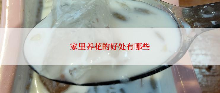 家里养花的好处有哪些