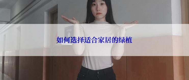 如何选择适合家居的绿植
