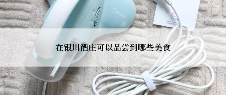 在银川酒庄可以品尝到哪些美食