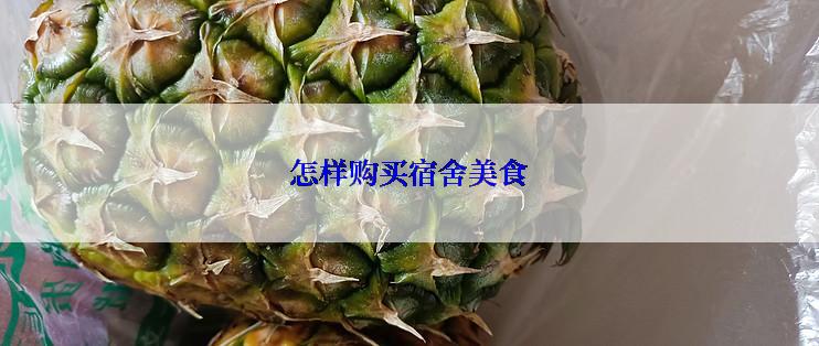 怎样购买宿舍美食