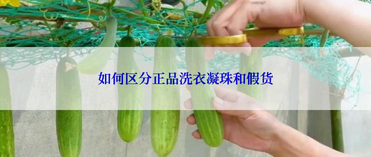 如何区分正品洗衣凝珠和假货