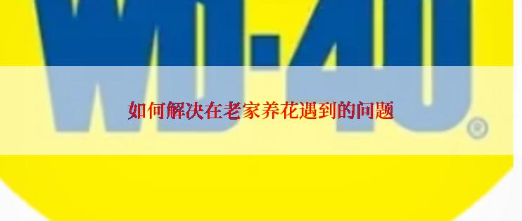如何解决在老家养花遇到的问题