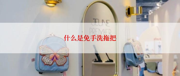 什么是免手洗拖把